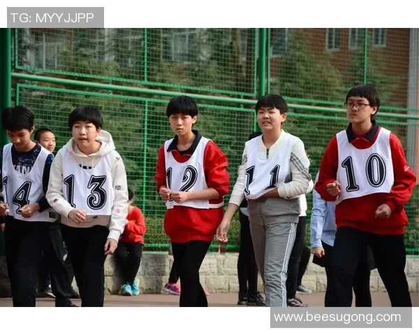 杭州排球队奋勇拼搏的成长历程与全国锦标赛的辉煌瞬间