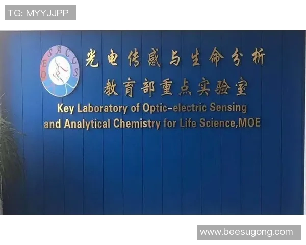 杭州篮球队在钻石联赛中的心理素质分析与表现评估 杭州篮球队在钻石联赛中的心理素质分析与表现评估