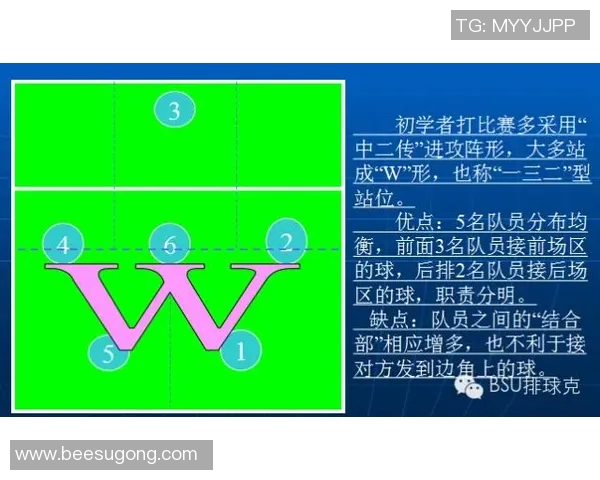 深圳排球队的节奏打法深度解析与战术创新探讨