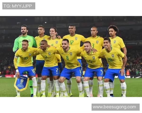 历届巴西足球明星回顾与成就分析全景展示